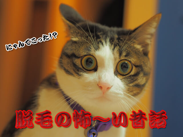 脱毛の歴史1